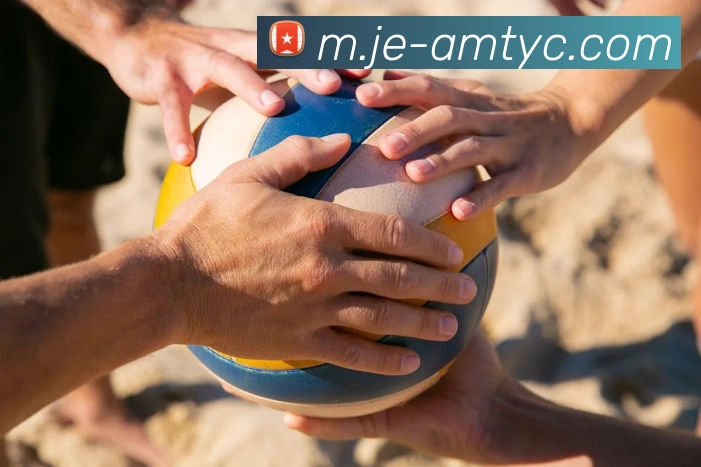 澳门太阳城平台生态图