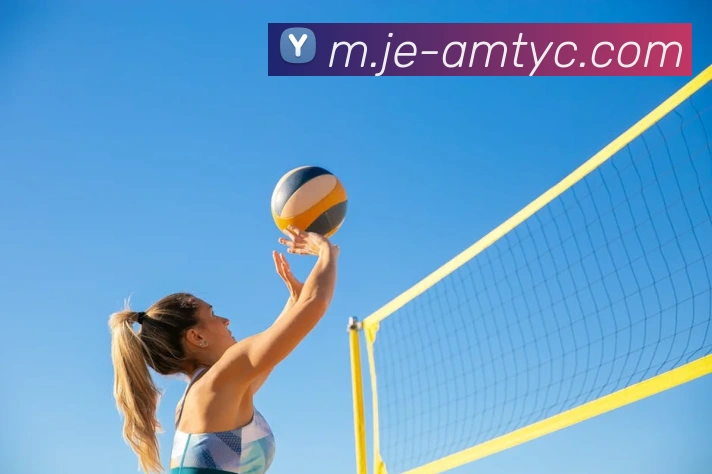 澳门太阳城APP 封面图